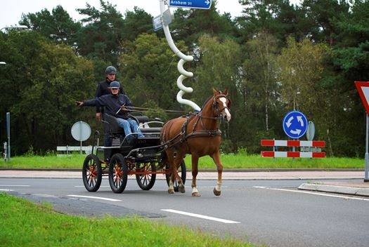 Verkeersregels Verkeersregels