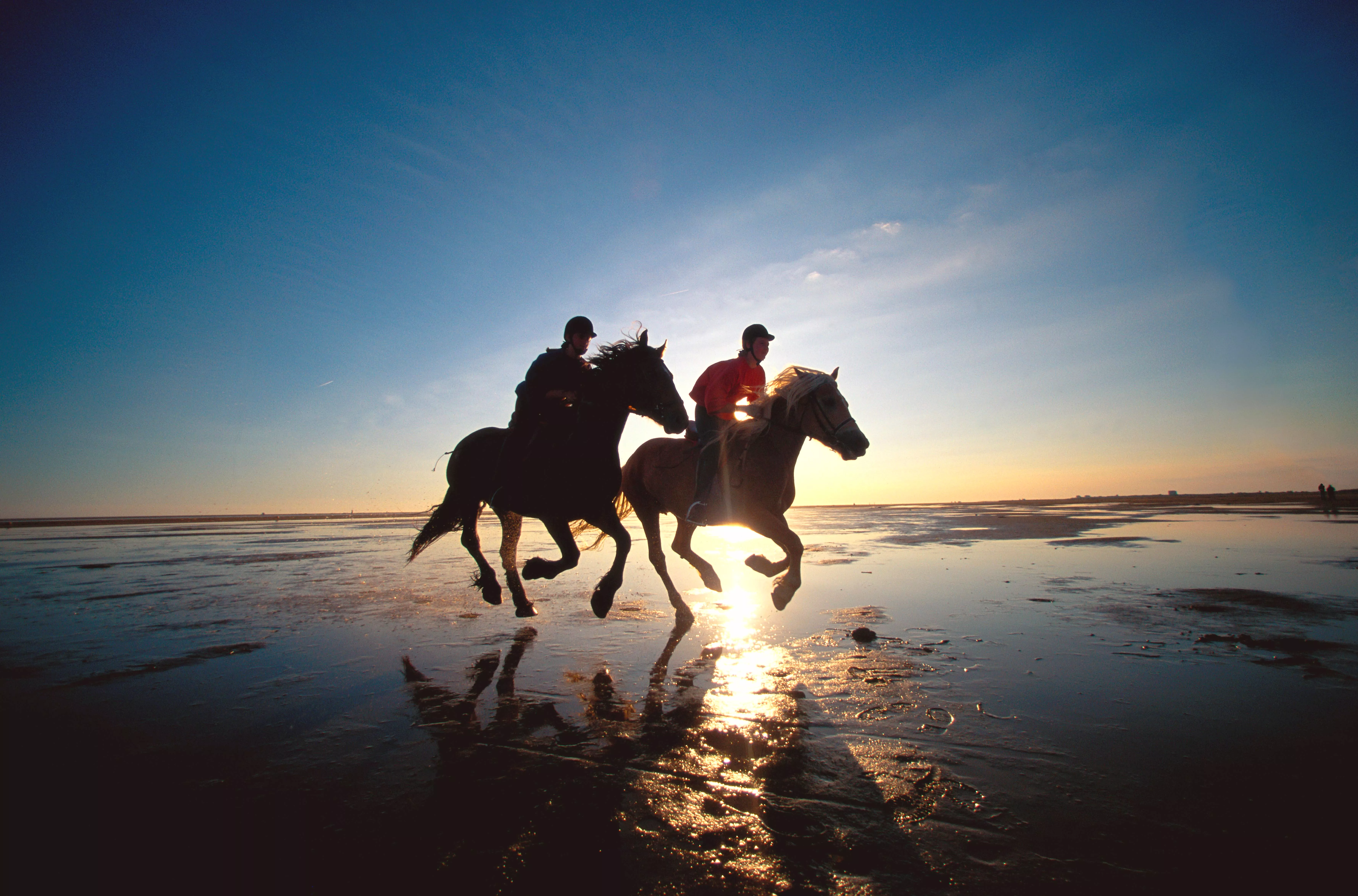 Paardrijden op het strand Paardrijden op het strand