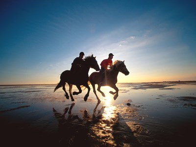 Zandvoort strandrit