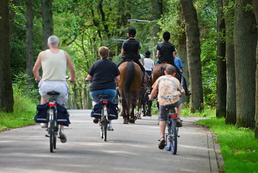 Paardenmest op straat Paardenmest op straat