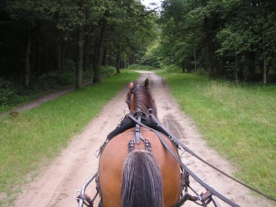 Zeewolde Zuiderzee-route
