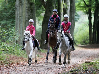 Amsterdamse bos ruiterroute