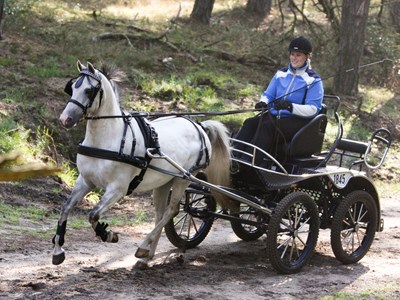 Cartierheide route