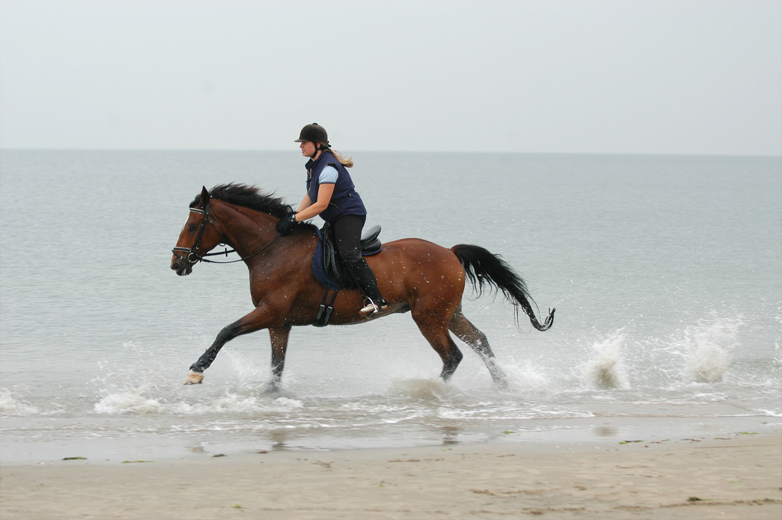 Schoorl duin- en strandrit 