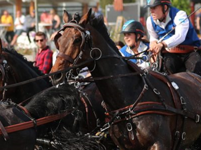 Passie voor Paard en Pony