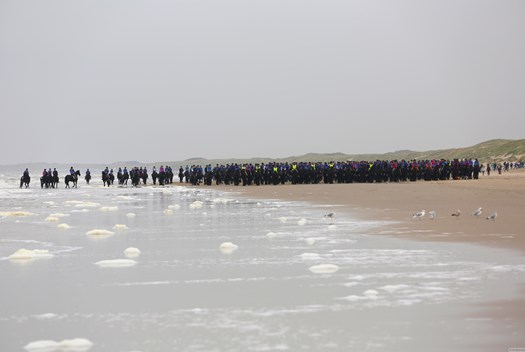 Friese paarden op strand 2 Evenementenkalender