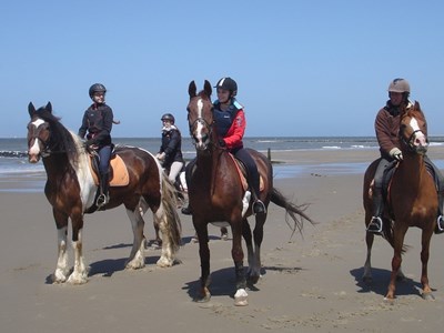 Stal van Haasteren en de Jong