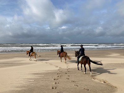 Strandrit Schoorl Halve dag rit – 4 uur