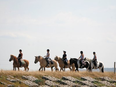strandrit Schoorl – 2 uur