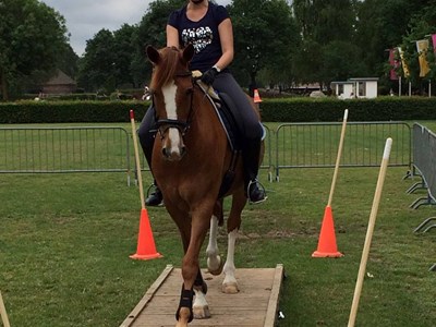 Clinic Working Equitation Clinic Working Equitation