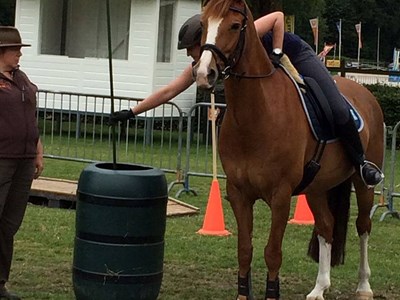 Clinic Working Equitation Clinic Working Equitation
