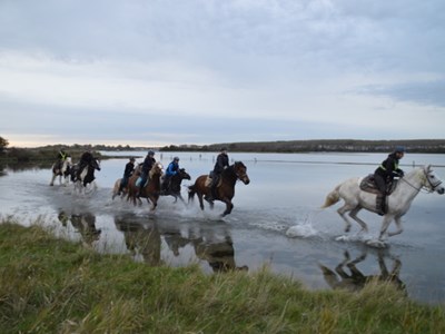 Paardenrijk Wolphaarsdijk