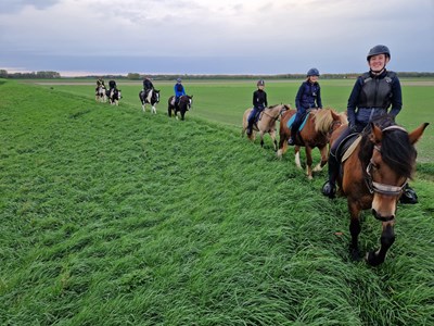 Strandrit met zonsondergang Zeeland – 1,5 uur