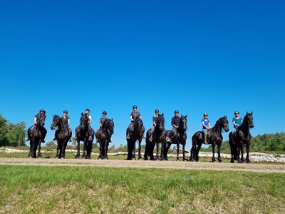 Stalhouderij Het Zwarte Paard