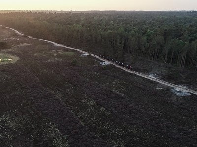 Beleef de Veluwe op Friese paarden privé rit groep - 2 uur