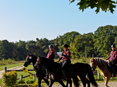TREC PTV-training TREC PTV-training