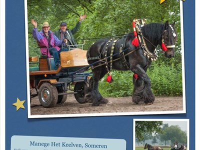Toertocht Trekpaarden 2019 Toertocht Trekpaarden 2019