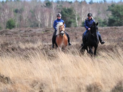 Manege Groepsaccomodatie Het Hoefke