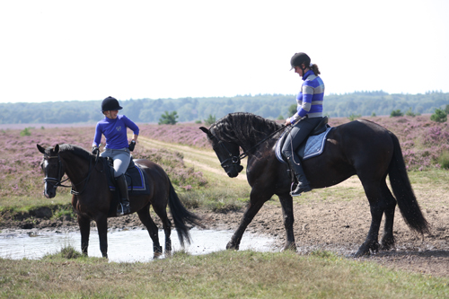 Tips: drinken onderweg