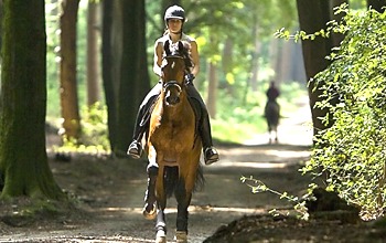 Voertips tijdens een buitenrit