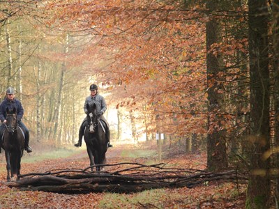 Den Treek route over landgoed