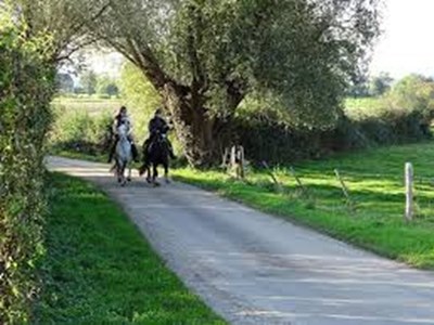 Trainen naar een TREC-wedstrijd, hoe doe je dat? Trainen naar een TREC-wedstrijd, hoe doe je dat?