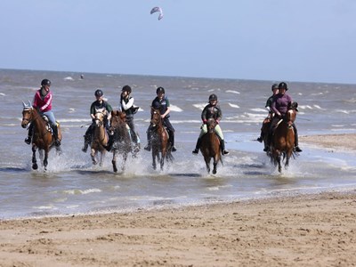 Enjoy the Ride rit door duinlandschap en strand Enjoy the Ride rit door duinlandschap en strand