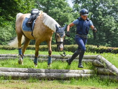 Working Equitation Trainingsdag Working Equitation Trainingsdag