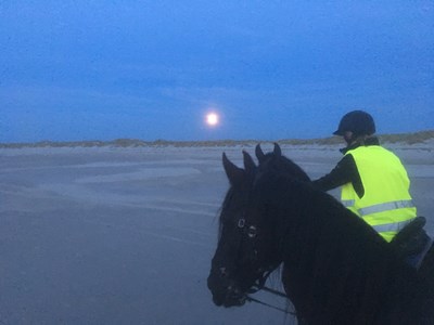 Rijden bij volle maan, met speciale KNHS-leden korting. Rijden bij volle maan, met speciale KNHS-leden korting.