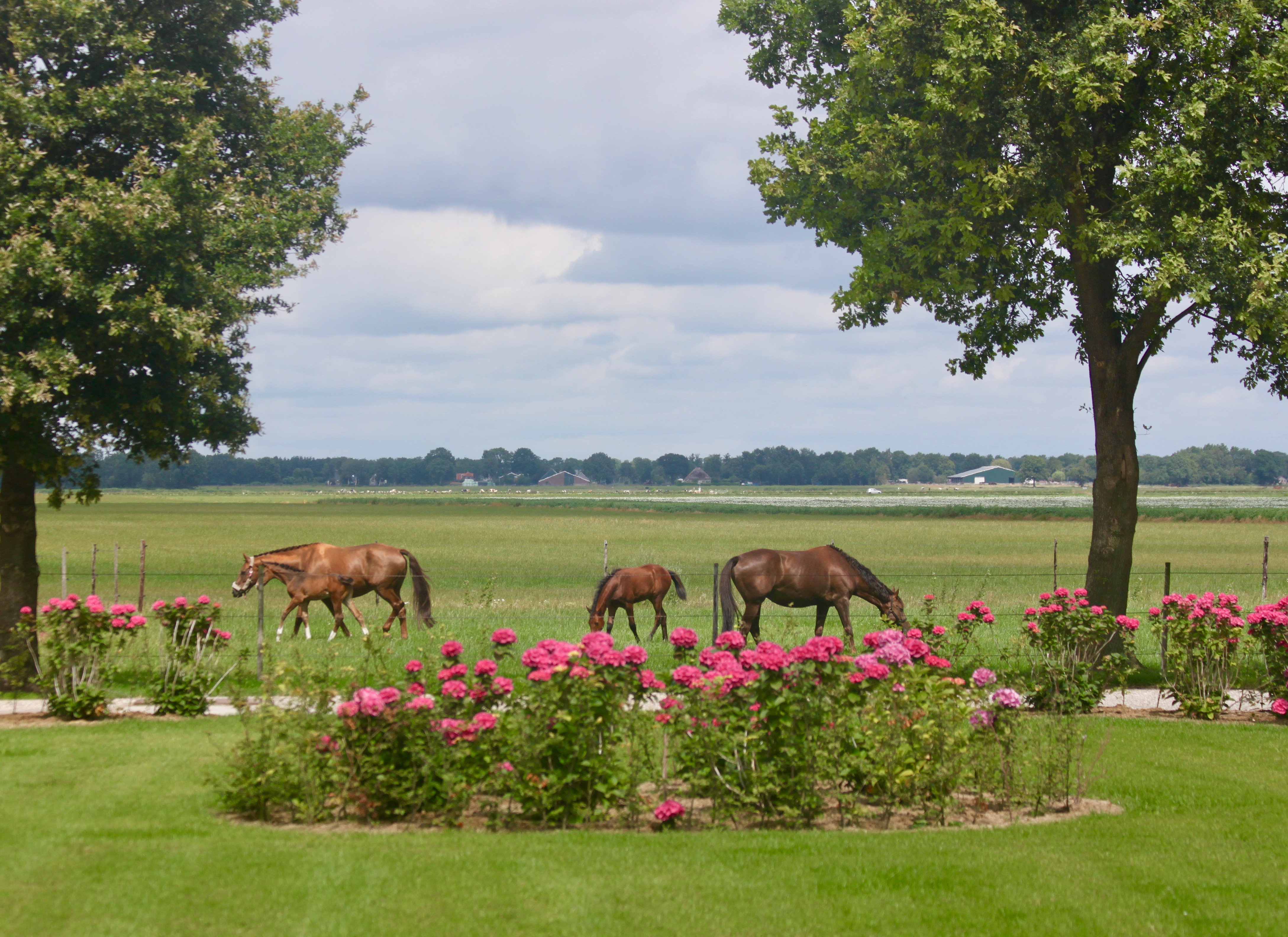 B&B De Sfeerhoeve B&B De Sfeerhoeve