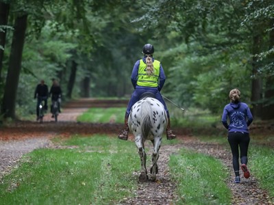 Ride & Run HRC manege Knollegruun Ride & Run HRC manege Knollegruun