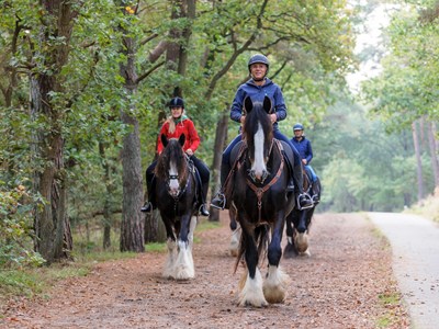 Privé rit door de Loonse en Drunense duinen