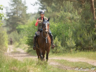 Oefendag POR – “TREC met buddy’s”