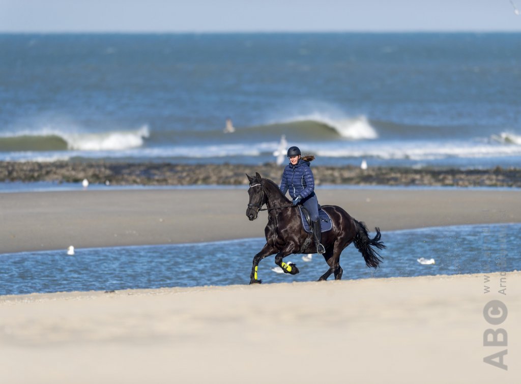 Wassenaar strandrit Valei van Meijendel 