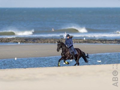 Wassenaar strandrit Valei van Meijendel
