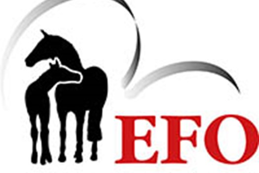 EFO 200 EFO paardenverzekering