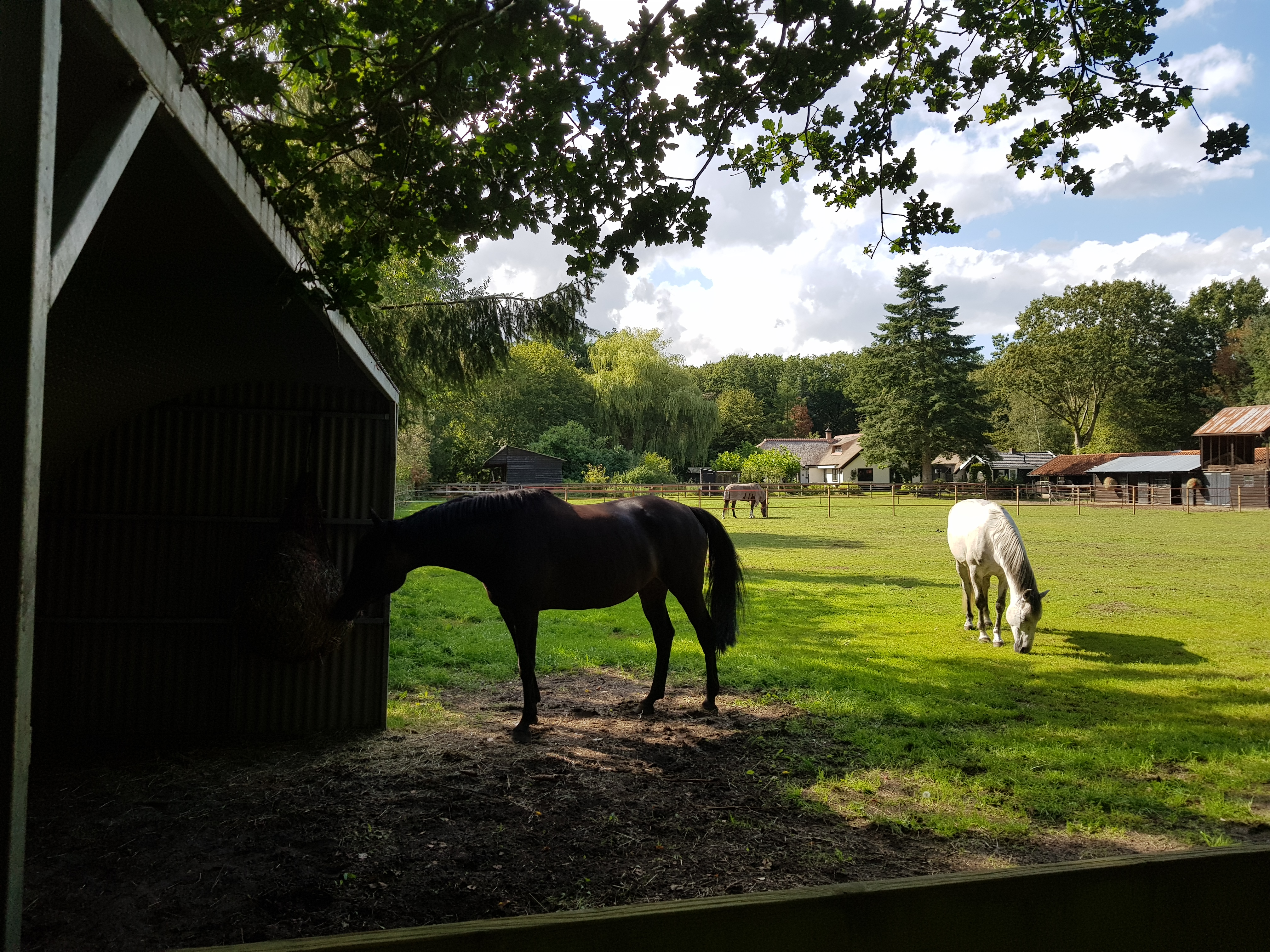 Paardenhotel Putten