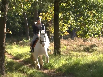 De Soesterduinen ruiter- en menroute