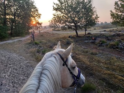 Adopteer je Route 
