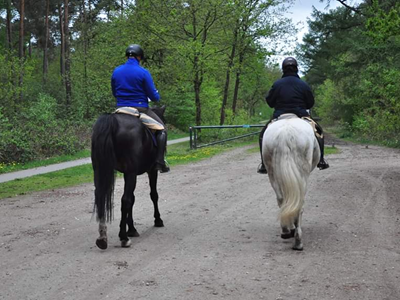 TREC European Cup 2021 TREC European Cup 2021