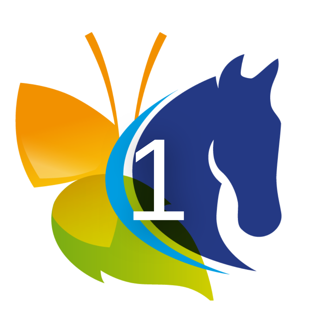 Zoek naar een route team in jouw regio