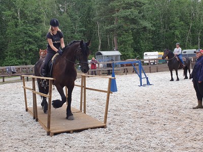 TREC introductie weekend TREC introductie weekend