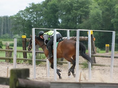 Kennismaken met TREC Kennismaken met TREC