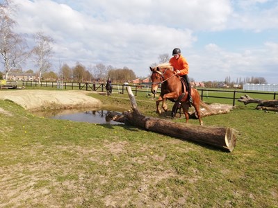 PTV Oefenparcours PTV Oefenparcours