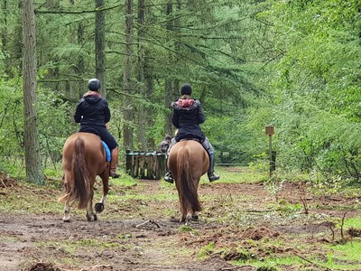 NK TREC - TREC Noord NK TREC - TREC Noord