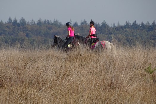 DSC09271 Kom in actie voor Pink Ribbon!