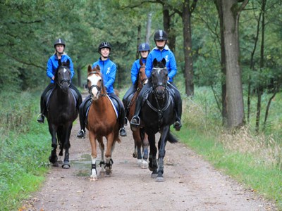 Horse Escape Rit Laar Horse Escape Rit Laar