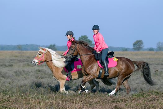 Kom in actie voor Pink Ribbon! Kom in actie voor Pink Ribbon!