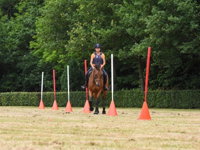 TREC demonstraties Paard & Erfgoed Fair TREC demonstraties Paard & Erfgoed Fair