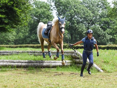 PTV training TREC Noord PTV training TREC Noord